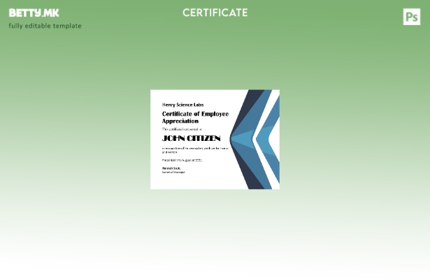 Модерен стил У.С.Д. Сертификат за благодарност на вработените Шаблон верзија